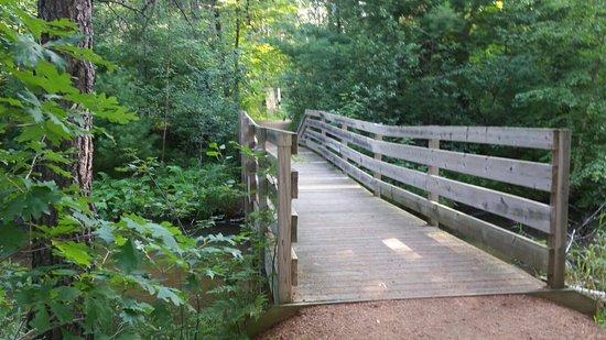 Green Circle Trail